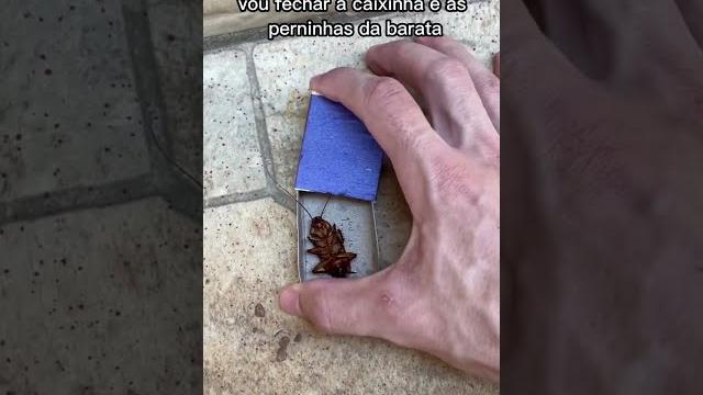Acho que você nunca tinha visto isso antes! #shorts Acho que você nunca tinha visto isso antes! #shorts