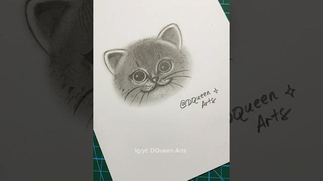 How to draw a cat using only a pencil #art #drawing #drawingtutorial #howtodraw #dqueenarts How to draw a cat using only a pencil #art #drawing #drawingtutorial #howtodraw #dqueenarts