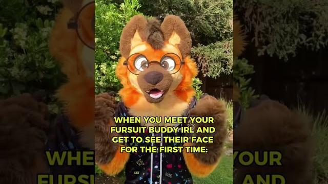 When you see a fursuiter’s face for the first time (ft. @zippy1289) #furry #furryfyp #fursuit When you see a fursuiter’s face for the first time (ft. @zippy1289) #furry #furryfyp #fursuit