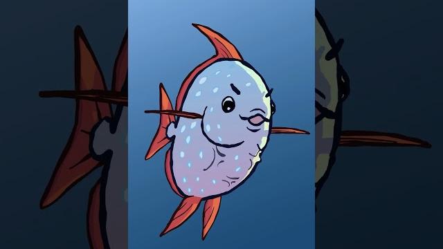 The opah & the oarfish ️ #animation #original #cartoon The opah & the oarfish ️ #animation #original #cartoon