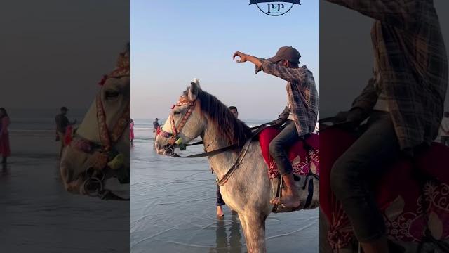 Horse #bangladesh Horse #bangladesh