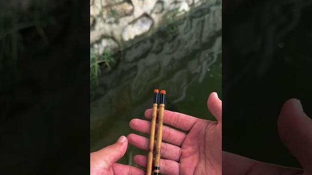 Tiny rod,a pocket fishing rod #fishing #minifish Tiny rod,a pocket fishing rod #fishing #minifish