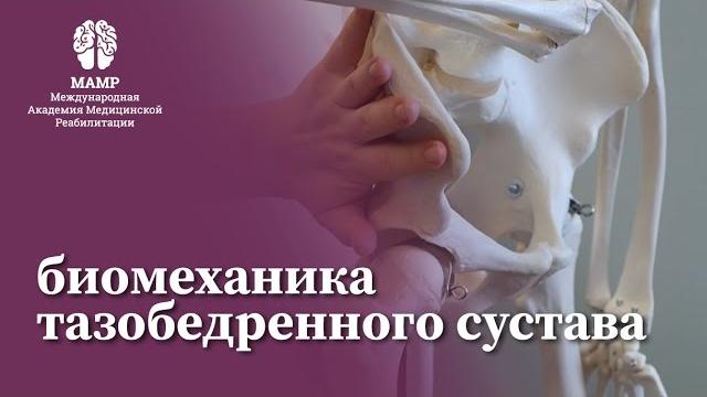 Биомеханика тазобедренного сустава. курсы для врачей от мамр | биомеханика человека | мамр Биомеханика тазобедренного сустава. курсы для врачей от мамр | биомеханика человека | мамр