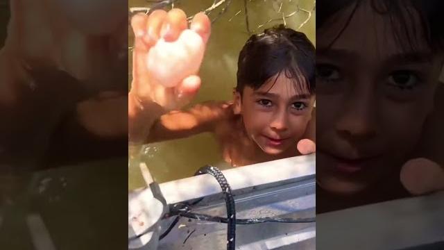 Kid vs shark! #shorts Kid vs shark! #shorts