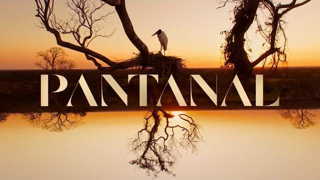Pantanal: a abertura da nova novela das 21h! | tv globo Pantanal: a abertura da nova novela das 21h! | tv globo