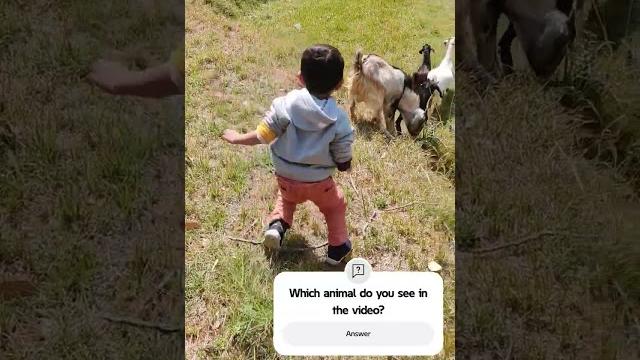 Trip to village , exploring new things ! #kidsplayvideo #viralkids #nurseryrhymes #babablacksheep Trip to village , exploring new things ! #kidsplayvideo #viralkids #nurseryrhymes #babablacksheep