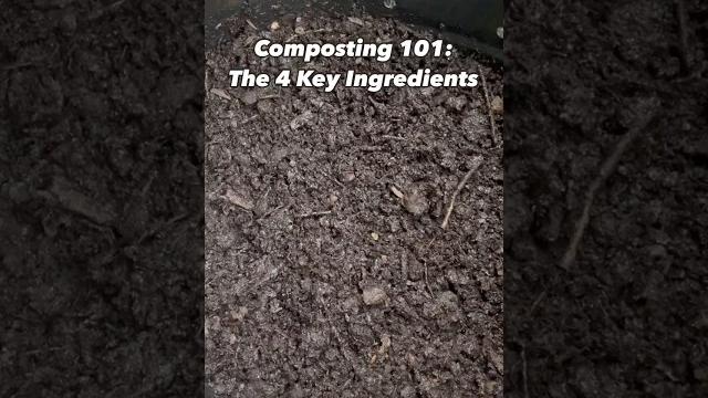 Composting 101: the 4 key ingredients Composting 101: the 4 key ingredients