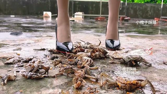 52期red soled high heels crush crab shells 52期red soled high heels crush crab shells