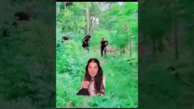 The mante tribe might be real after all The mante tribe might be real after all