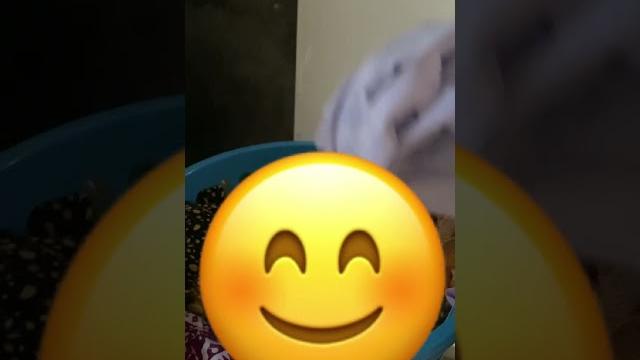 Kesibukan pagi, ibu” berdaster Kesibukan pagi, ibu” berdaster