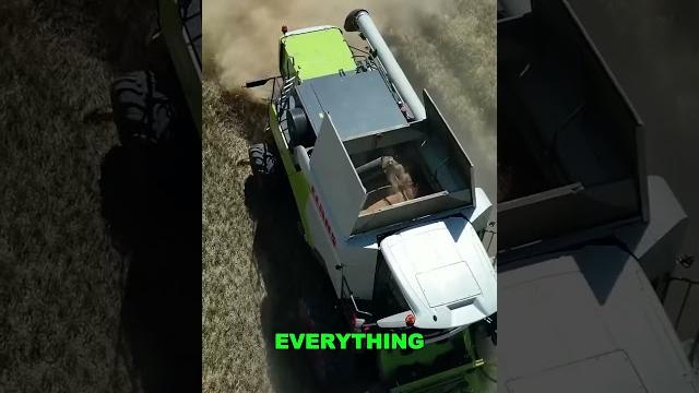 The world’s largest combine harvester – it’s a monster! The world’s largest combine harvester – it’s a monster!
