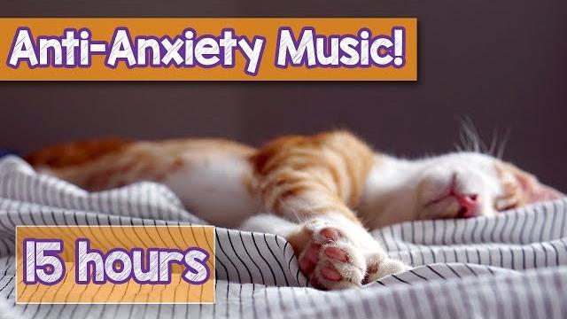Calming music for cats with anxiety! deep soothing music for anxious, ill and stressed cats! (2018) Calming music for cats with anxiety! deep soothing music for anxious, ill and stressed cats! (2018)