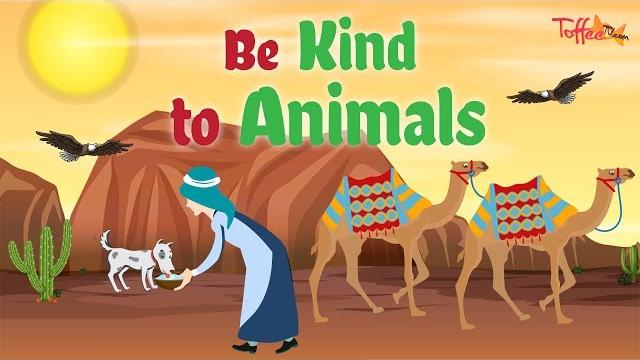 Toffee tv | be kind to animals - islamic story for kids Toffee tv | be kind to animals - islamic story for kids