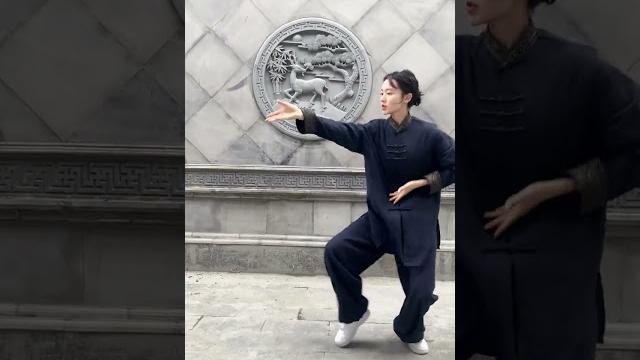 太极生两仪 两仪生四象!太极拳 弘扬中华武术 上班时间皮一下 太极养生 太极生两仪 两仪生四象!太极拳 弘扬中华武术 上班时间皮一下 太极养生