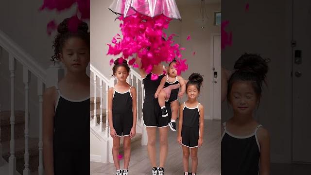 How many rose petals did we use for this video? How many rose petals did we use for this video?