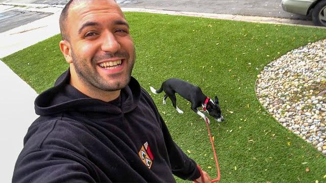 Amerika'da köpek bakıcısı oldum Amerika'da köpek bakıcısı oldum