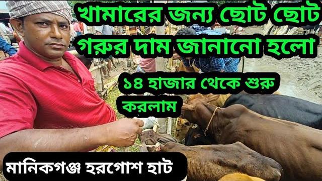 Manikgonj horgos hat\ horgosh goru hat\ horgos cow sell) {manikgonj hat} havvy marcket oll sige cow Manikgonj horgos hat\ horgosh goru hat\ horgos cow sell) {manikgonj hat} havvy marcket oll sige cow
