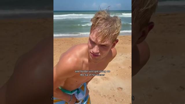 My boyfriend got his wiener stung by a jelly fish My boyfriend got his wiener stung by a jelly fish
