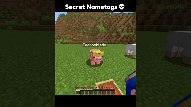 Minecraft secret nametags Minecraft secret nametags