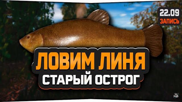 Линь на озере старый острог — русская рыбалка 4 Линь на озере старый острог — русская рыбалка 4
