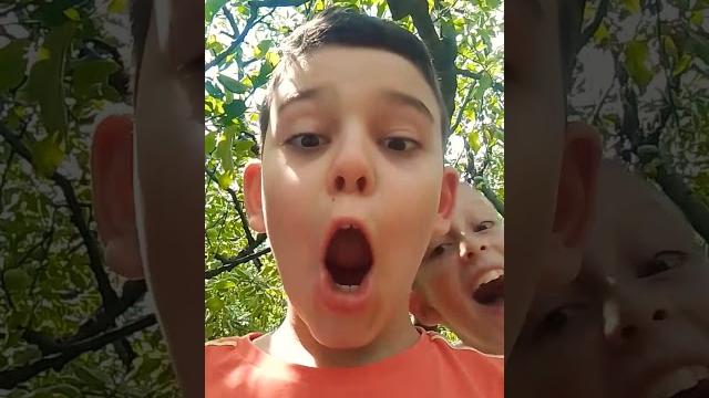 Чупапи маньо Чупапи маньо