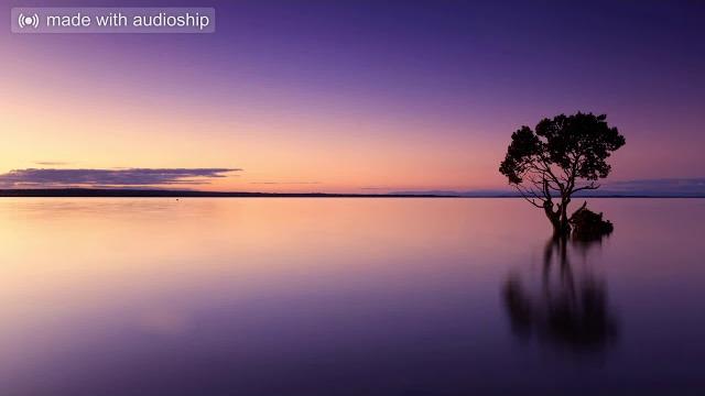 Aud-20210128-wa0006 Aud-20210128-wa0006