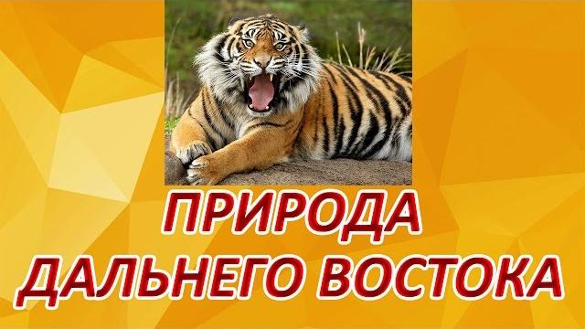 Природа дальнего востока. Природа дальнего востока.