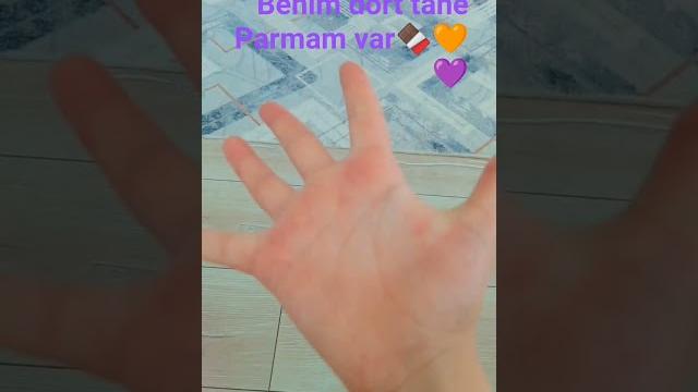 19 haziran 2025 19 haziran 2025