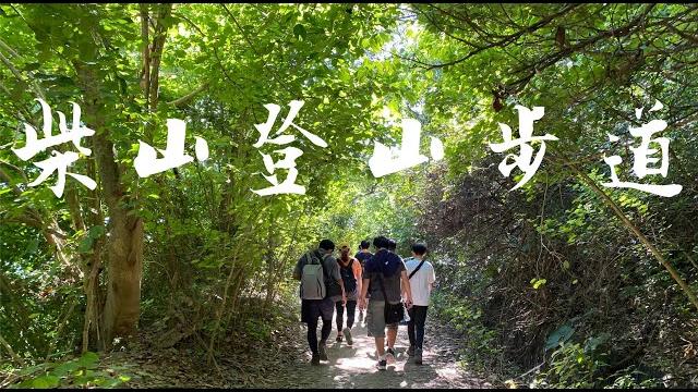 柴山登山步道|好熱猴子好多|北柴山|高雄 柴山登山步道|好熱猴子好多|北柴山|高雄