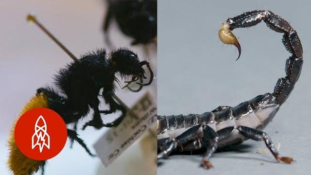5 stories that'll sting 5 stories that'll sting