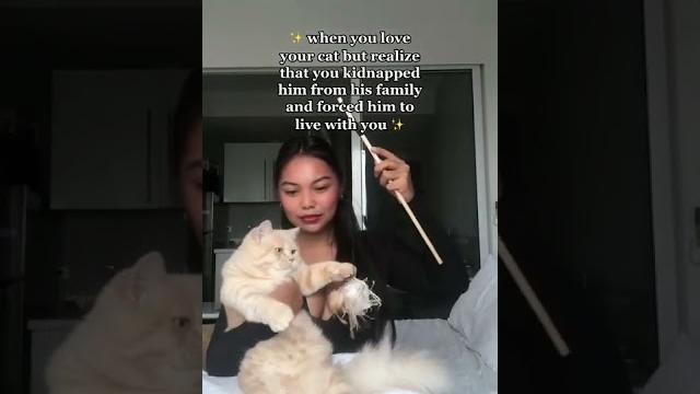 Are you cat owner? #shorts :sha.daily Are you cat owner? #shorts :sha.daily