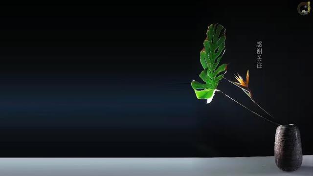 跟倪誌翔老師學插花 7 ni zhixiang 插花藝術 插花大師 ikebana 跟倪誌翔老師學插花 7 ni zhixiang 插花藝術 插花大師 ikebana
