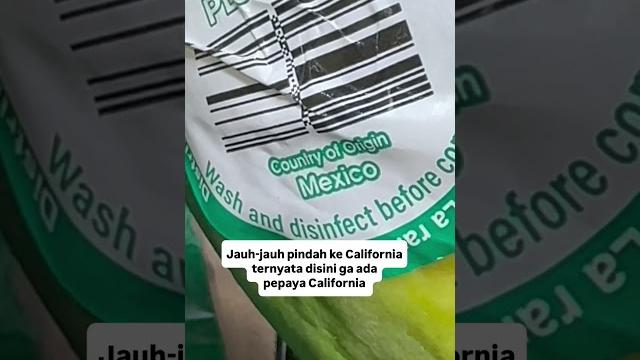 Pepaya california? Pepaya california?