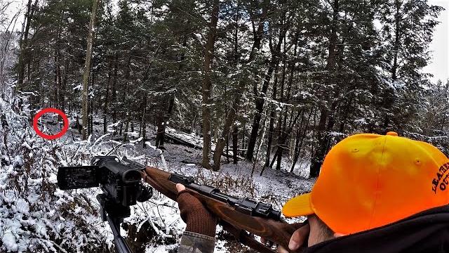 Deer hunting with a karabiner 98 kurz 8mm mauser! ( how a kar98k works ) 2020 whitetail heart shot Deer hunting with a karabiner 98 kurz 8mm mauser! ( how a kar98k works ) 2020 whitetail heart shot