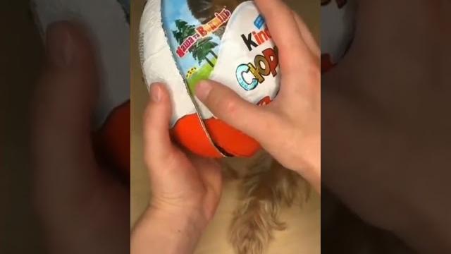 Злой пёс микки тик ток #2 Злой пёс микки тик ток #2