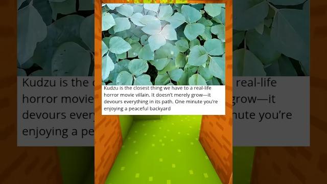 Kudzu… #tumblr #funny #shorts Kudzu… #tumblr #funny #shorts