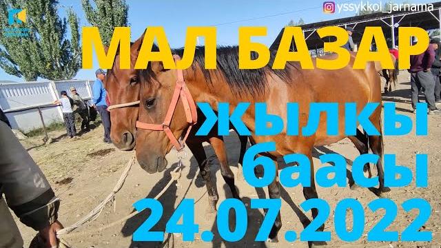 Жылкы баасы каракол мал базар 24-июль 2022 Жылкы баасы каракол мал базар 24-июль 2022