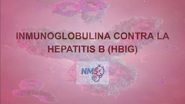 Anti-hepatitis b immunoglobulins Anti-hepatitis b immunoglobulins