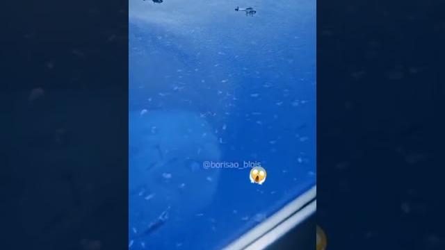 Omg ikan nabi yunus vs ikan tekorak Omg ikan nabi yunus vs ikan tekorak