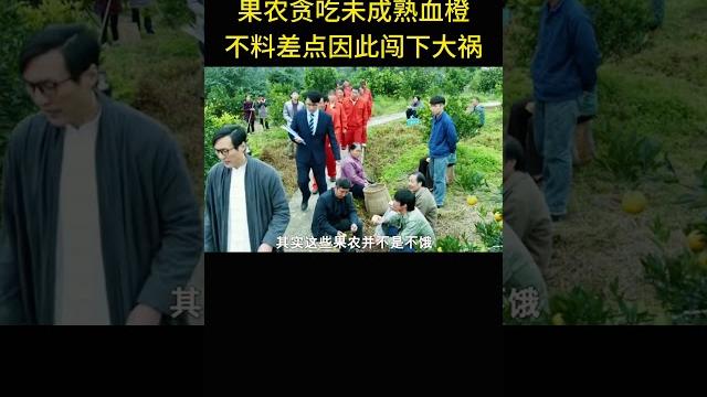 果农贪吃未成熟血橙,不料差点因此闯下大祸 果农贪吃未成熟血橙,不料差点因此闯下大祸