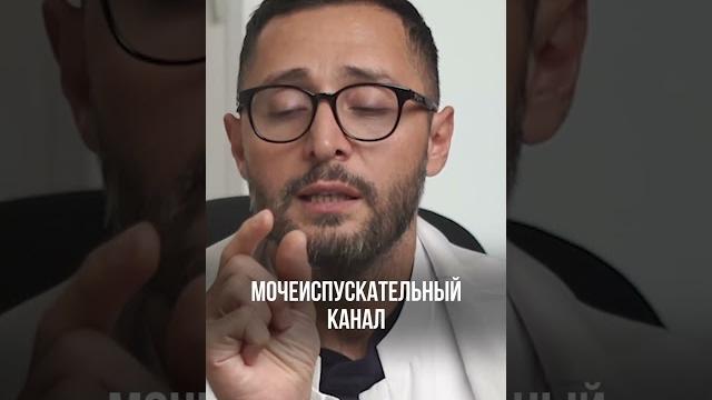Почему появляется цистит #shorts Почему появляется цистит #shorts