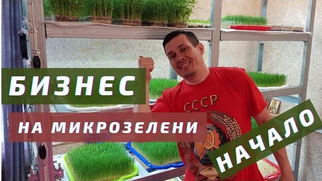 Бизнес на микрозелени. начало Бизнес на микрозелени. начало