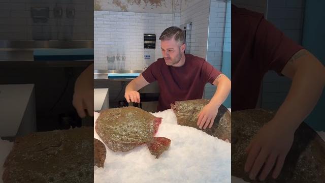Black sea turbot #fish #food #seafood Black sea turbot #fish #food #seafood