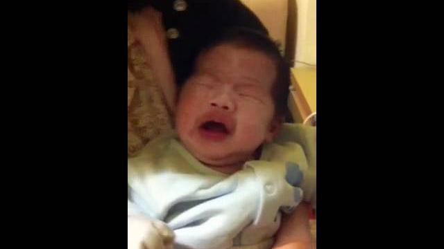 兔寶哥吃奶嘴 兔寶哥吃奶嘴