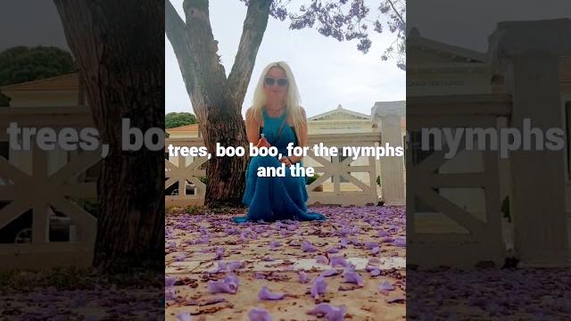 Tree nymph meeting️ Tree nymph meeting️
