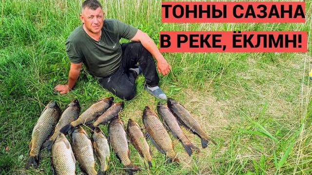 Рыбалка мечты - тонны сазана нарвался на ход сазана рыбалка 2025 рыбалка с лодки. рыбалка в сибири Рыбалка мечты - тонны сазана нарвался на ход сазана рыбалка 2025 рыбалка с лодки. рыбалка в сибири