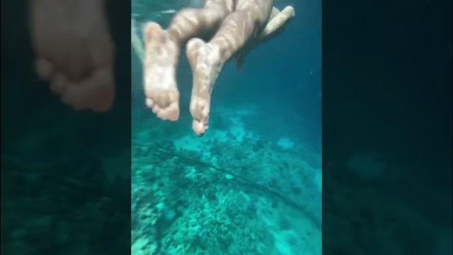 Акула съела туриста в хургаде. после таких новостей, сразу расхотелось там отдыхать #shorts #tiktok Акула съела туриста в хургаде. после таких новостей, сразу расхотелось там отдыхать #shorts #tiktok