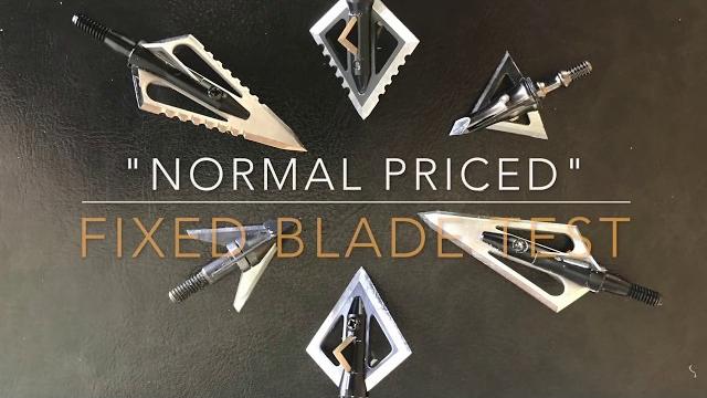 Broadhead battle: magnus vs exodus vs muzzy Broadhead battle: magnus vs exodus vs muzzy