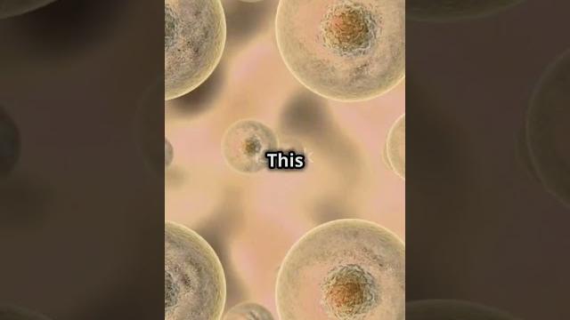 The incredible journey: from cells to systems #humanbody #exam #viral #education #biology #ourbody The incredible journey: from cells to systems #humanbody #exam #viral #education #biology #ourbody