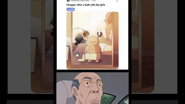 One piece memes 1238% One piece memes 1238%